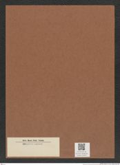 Diatomeae indet. Zeichnungen Sammlung Grunow Mappe 04979 (Herbarium_W_Grunow_drawings_Folder_04979)